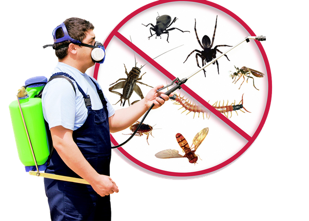 pest control hong kong