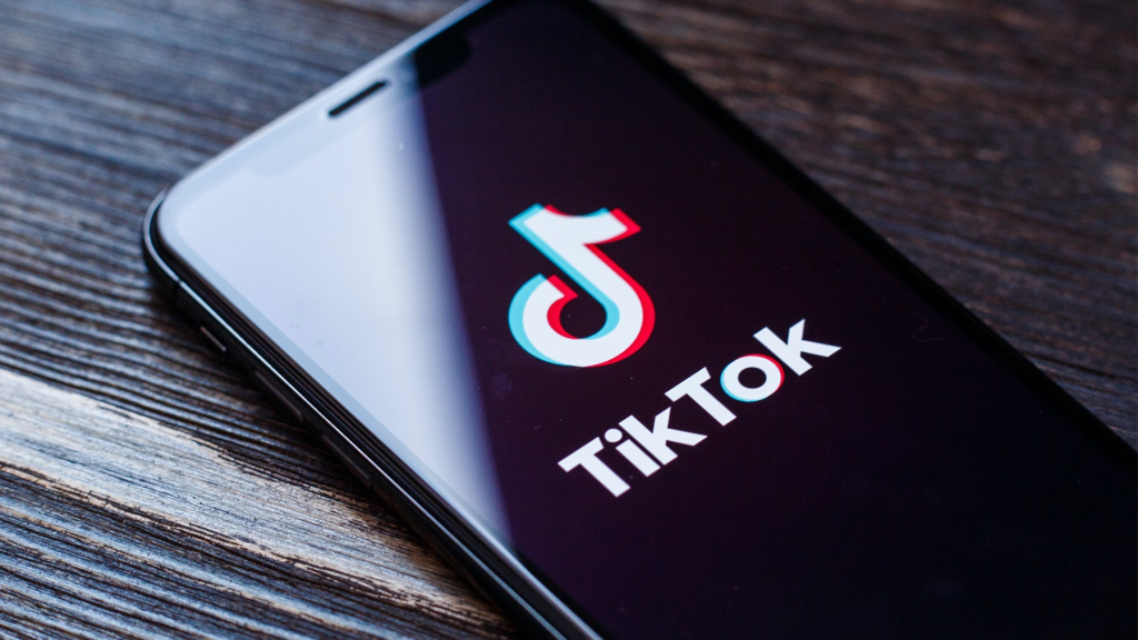 TikTok Video Downloader 